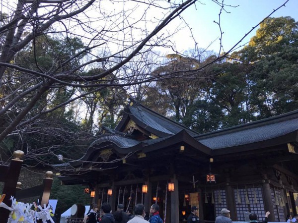 金比羅神社-180110-18