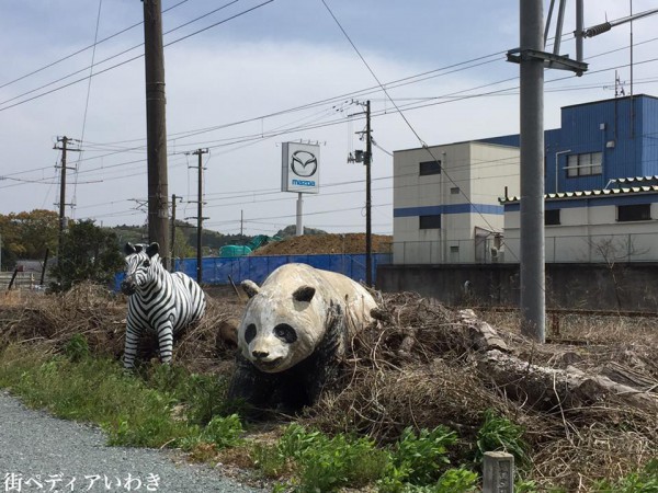 いわき市平でパンダとシマウマ1