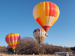 いわきで気球に乗る 21世紀の森公園でバルーンフェスティバル16 いわき市の情報サイト街ペディアいわき