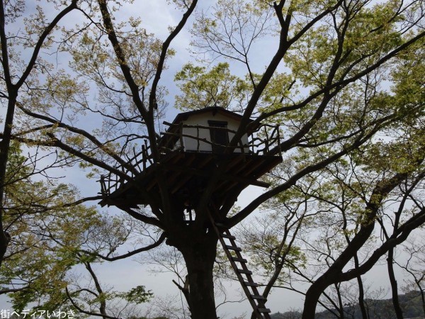 いわき万本桜春祭いわき回廊美術館3