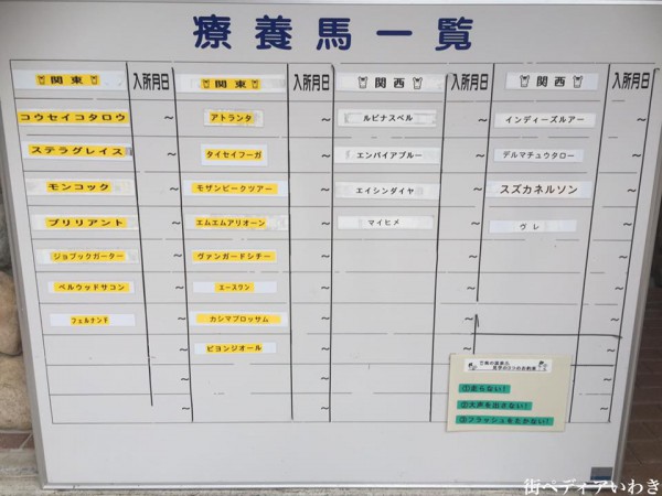 いわき市湯本温泉を使ったJRA馬の温泉7