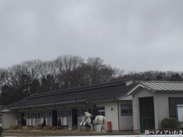 いわき市湯本温泉を使ったJRA馬の温泉3