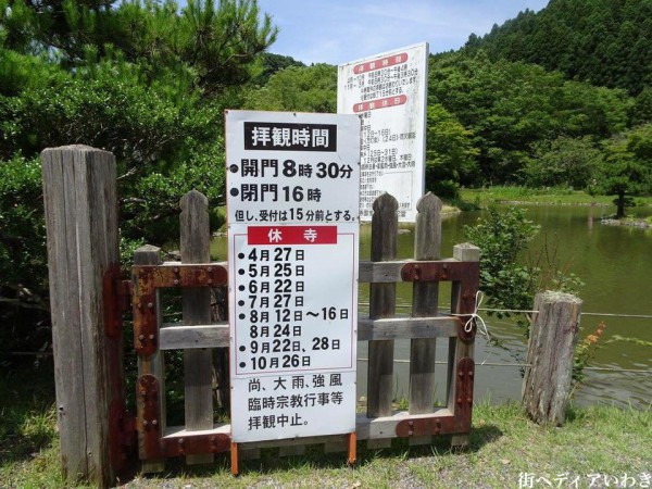 いわき市内郷白水阿弥陀堂の古代ハス蓮の花7