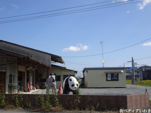 いわき市平鎌田のパンダとシマウマ5