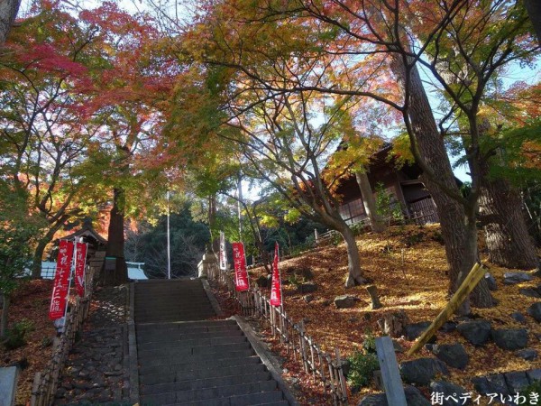 いわき市湯本の温泉神社の紅葉1