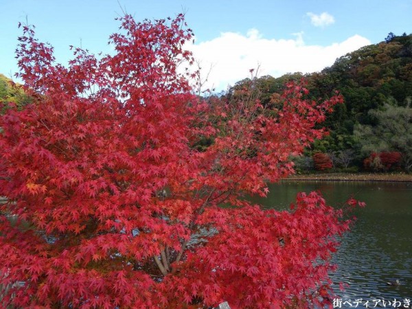 福島県いわき市内郷の国宝白水阿弥陀堂2