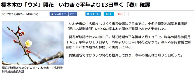 福島県いわき市内郷の国宝白水阿弥陀堂の梅のニュース