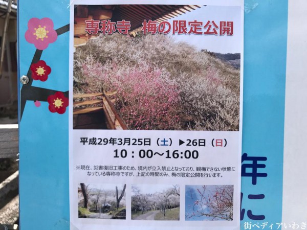 福島県いわき市平山崎浄土宗の寺院-梅の名所専称寺2