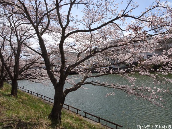 福島県いわき市常磐病院1