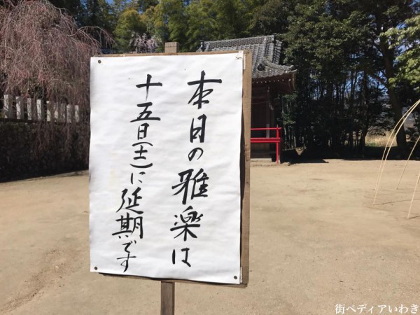 福島県いわき市小川町小川諏訪神社のしだれ桜1