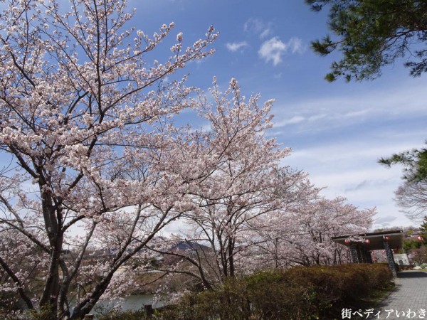 福島県いわき市常磐病院3