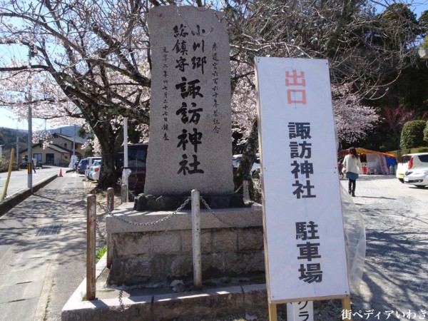 福島県いわき市小川町小川諏訪神社のしだれ桜7