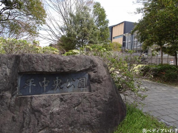 福島県いわき市アリオス平中央公園の桜2