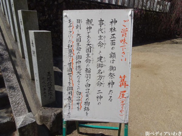 福島県いわき市小川町小川諏訪神社のしだれ桜5