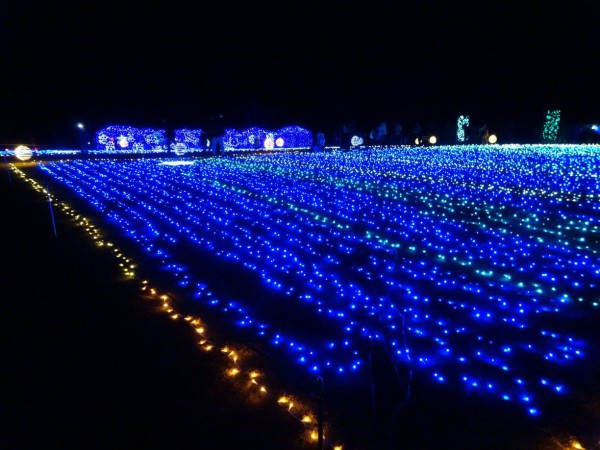 冬季イルミネーション2018-いわき市常磐湯本町の21世紀の森公園13