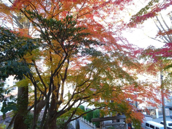 いわき市湯本の温泉神社-181128-9