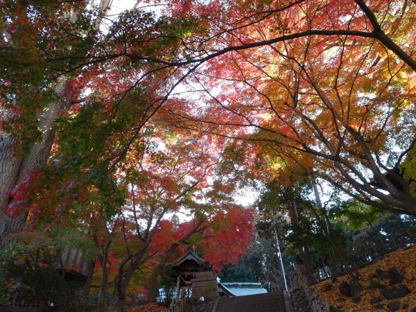 いわき市湯本の温泉神社-181128-4