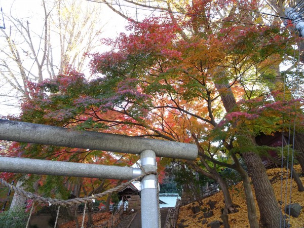 いわき市湯本の温泉神社-181128-2