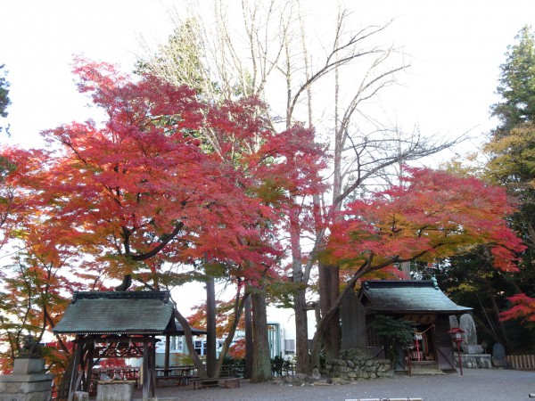 いわき市湯本の温泉神社-181128-13